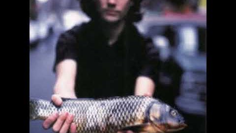 David Usher - Forestfire