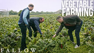 We Visited A British Farm and Made Tartar with a Rare Plant