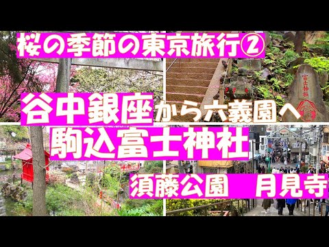 桜満開の東京旅行②【谷中銀座から六義園へ。駒込富士神社、月見寺、須藤公園】谷中霊園の桜の後、谷中銀座へ行き、六義園へ向かう途中で富士神社の綺麗な桜に出逢いました。