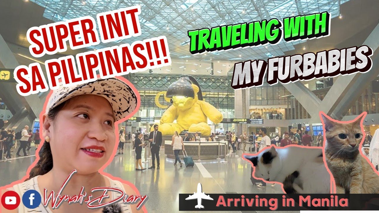 Traveling From Qatar To Philippines With My Furbabies Wynah s Diary traveling-from-qatar-to-philippines-with-my-furbabies-wynah-s-diary