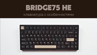 : Bridge 75     