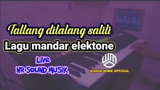 Lagu daerah mandar versi electone || Tallang dilalang salili