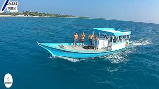 Discovering the Hidden Treasures of Laamu Atoll: A Diving Adventure