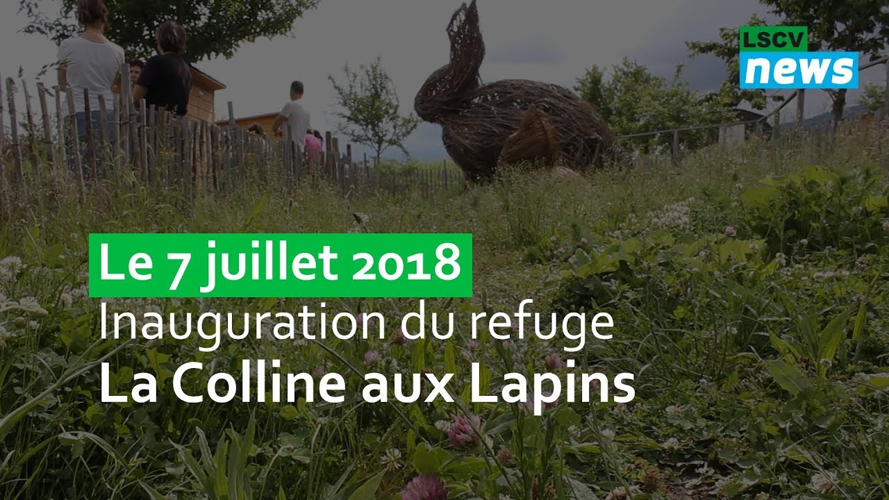 Présentation du Refuge la Colline aux Lapins /// YouTube