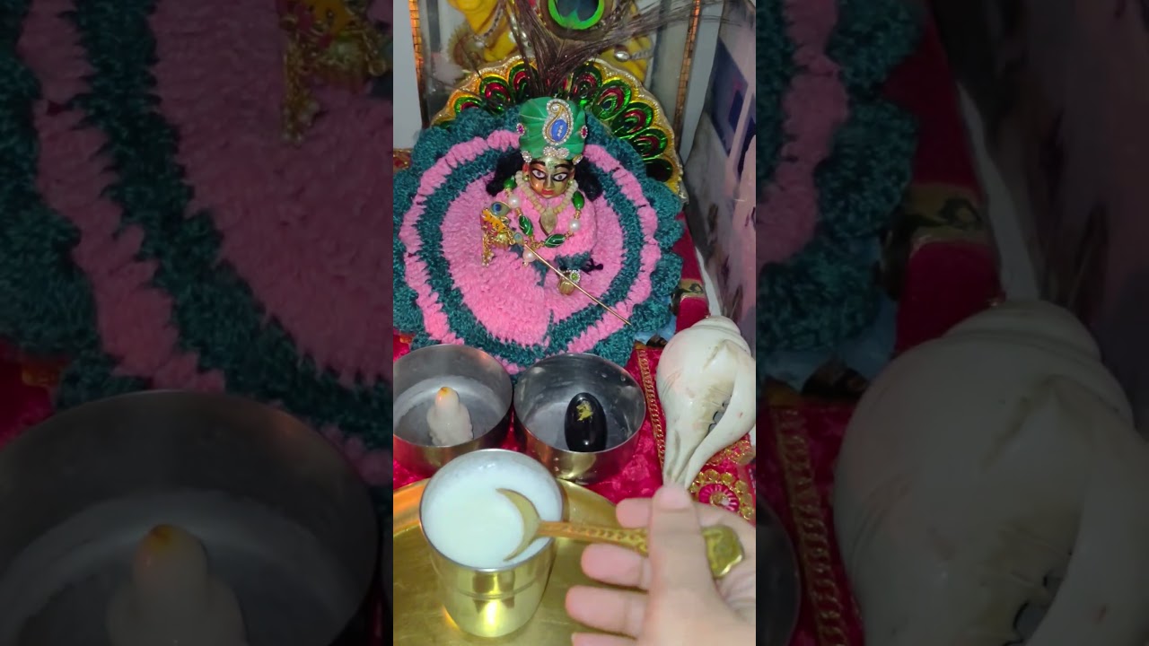 radhe Radhe #ytshort video #ladu gopal #radhe Radhe