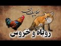 حکایت پارسی داستان روباه و خروس داستان های فارسی قدیمی