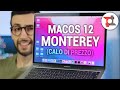 APPLE MACBOOK PRO/AIR M1 dopo 6 MESI: cos'è CAMBIATO con MACOS MONTEREY?!