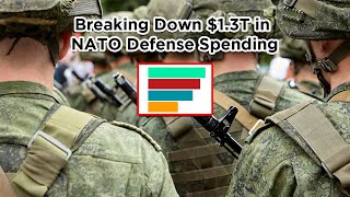 Breaking Down $1.3T in NATO Defense Spending by Illuminating Facts 74 views 1 month ago 48 seconds