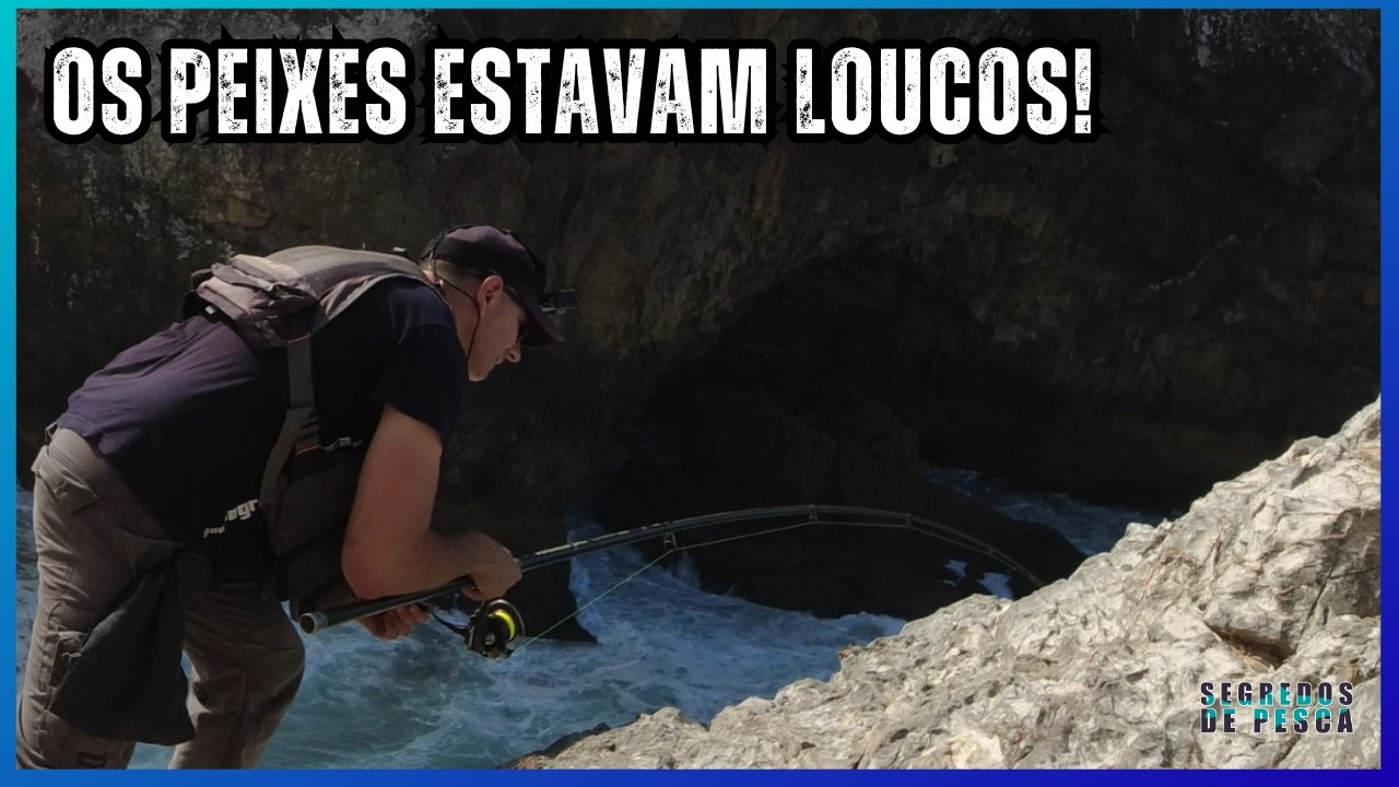 Os peixes estavam completamente loucos!
