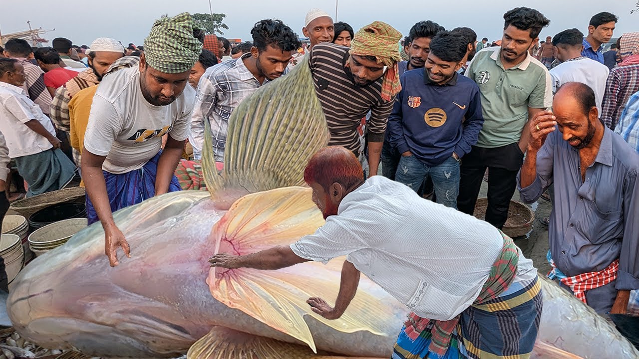 প্রকৃতির উপহার পদ্মার খাসি বাইলা ও চরের টাটকা শাকসবজি সস্তায় পাবেন নারিশা ঘাটে | dhaka dohar narisa