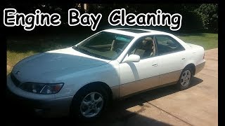 Engine Bay Cleaning - Lexus ES300 Redo Project - Stage 2