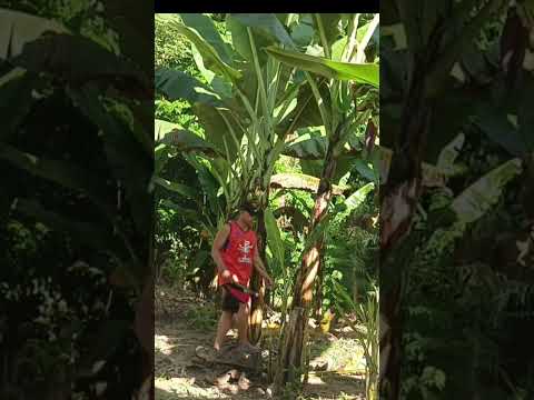 LOVE WHAT YOU DO DO WHAT YOU LOVE