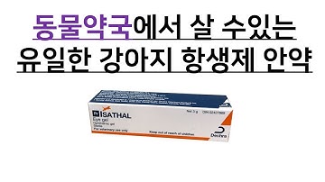 동물약국에서 구매 가능한 유일한 강아지 항생제 안약