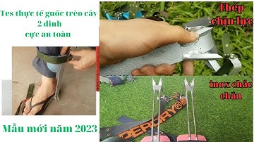 Hướng dẫn . Cách sử dụng guốc trèo cây 2 đinh - dụng cụ trèo cây . An Toàn - Hiệu Quả