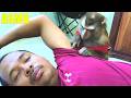 Awesome Rare To See Professional Monkey Bela Soft SPA Underarm Area (Armpits)