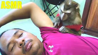 Awesome Rare To See Professional Monkey Bela Soft SPA Underarm Area (Armpits)