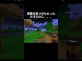 変なもん写りました#shorts #minecraft #マイクラ #まいくら #こぺさん