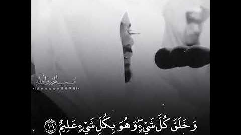 و خلق كل شيء وهو بكل شيء عليم) تلاوة خاشعة للشيخ ياسر الدوسري