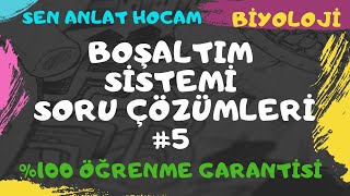 Boşaltim Si̇stemi̇ Soru Çözümleri̇ 5 Ayt Bi̇yoloji̇