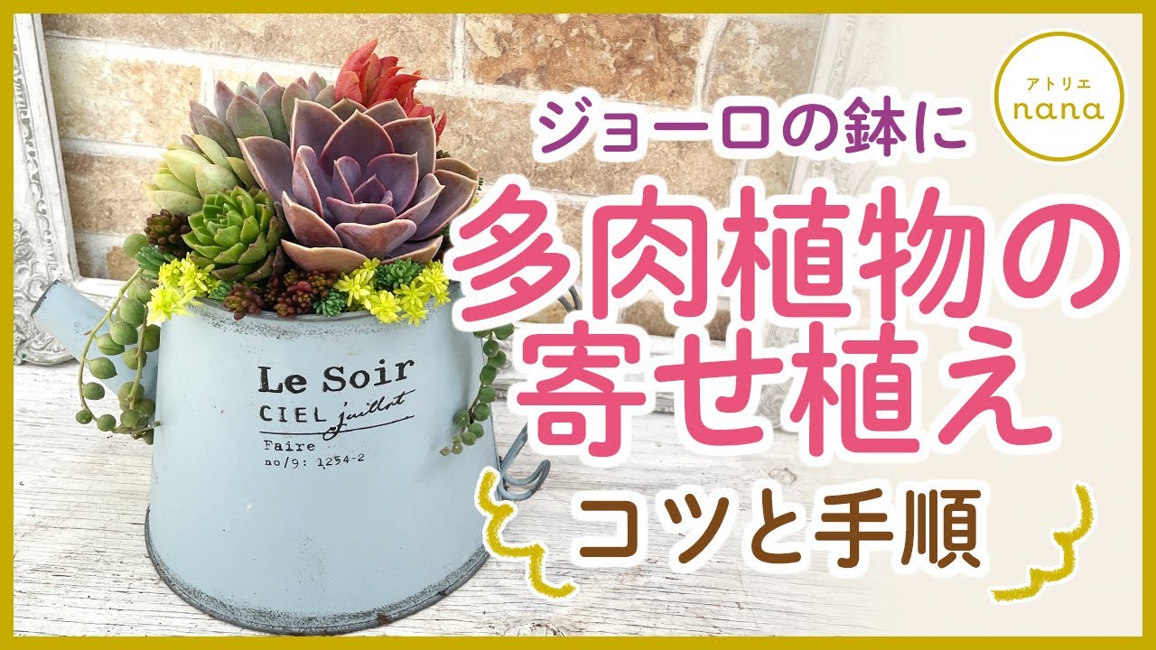 リメイク缶225☆多肉植物☆寄せ植えその他