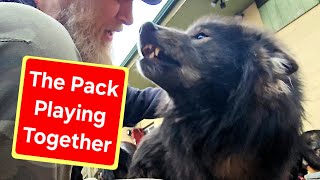 Happy Pack Moments: Eating Snacks & Playing Together!