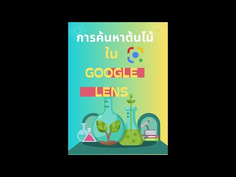 การค้นหาต้นไม้ในgooglelens แบบทดสอบครั้งที่1ปี2566