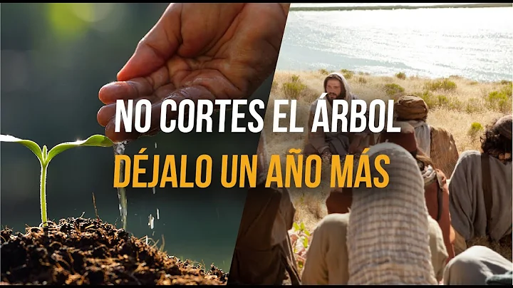 NO CORTES EL RBOL DJALO UN AO MS (Pt. Norman Guano...