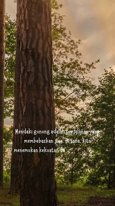 Inspirasi di Puncak Gunung: Quotes untuk Menaklukkan Tantangan dan Menemukan Kedamaian