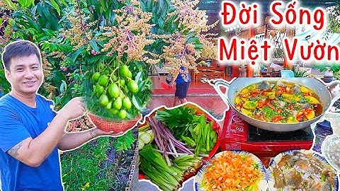 Sau Một Ngày Làm Việc Với Vài Món Nhậu “Lai Rai”Gỏi Cóc Khô Cá Sặc Tôm Khô, Rô Mề Kho Khóm Nhúng Rau