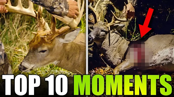 Top Ten Drone Deer Recovery Moments from 2022-23 Season