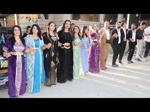 kurdish wedding new halay uludere düğünleri koma sümbül avesta