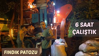 Findiği Nasil Patoza Vuruyoruz/Aksi̇yon Dolu Gece(How Do We Know Hazelnut/Action - Full Night)