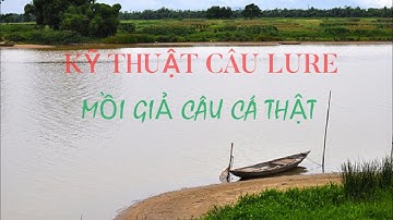 Câu lure cá chẽm đầm thiên nhiên bằng mồi giả/Câu cá fish tốc độ nhanh tập 2 - Phương Kiều blog
