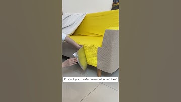 Protect Your Furniture in Style: Cat Scratch Sofa Protector