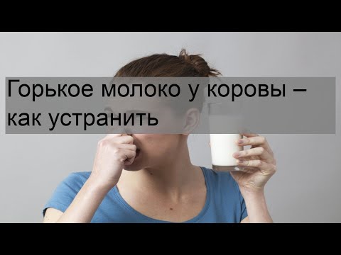 Горькое молоко у коровы – как устранить