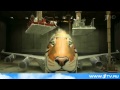 Тигриный окрас одного из российских самолётов