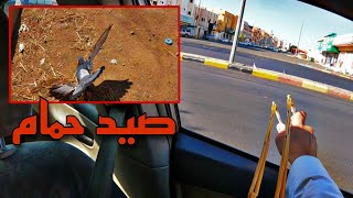 صيد حمام الجزء الثالث