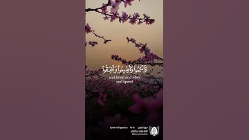 تلاوة بصوت بدر التركي من سورة التغابن #قران #قرآن_كريم #آيات #استغفرالله #الحمدلله #quran