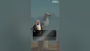 "يوم يجمع الله الرسل فيقول ماذا أجبتم" سورة المائدة SURAH AL-MAEDA #عبدالولي_الاركاني