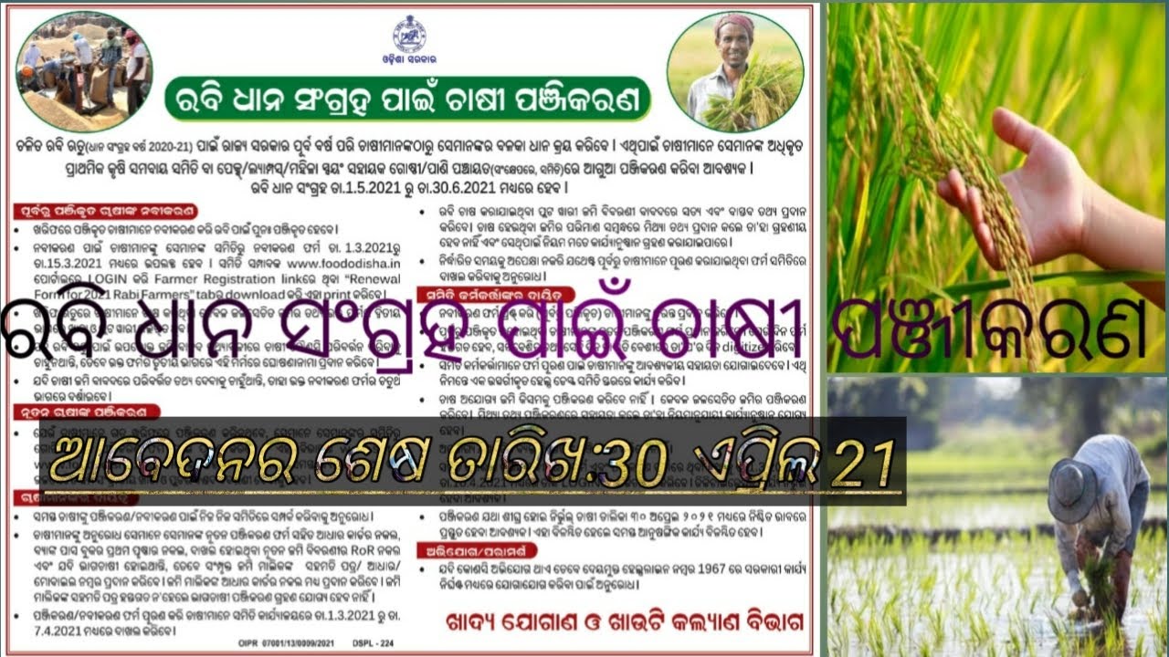 Apply online for paddy card odisha|| registration for dhan card|| 2021|| rabi dhan chasa|| odisha