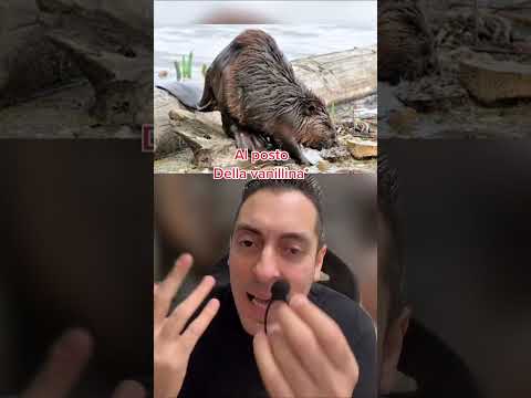 OGGI TI ROVINERO' LA GIORNATA ! SE TI PIACE IL GELATO ALLA VANIGLIA DOVRESTI SAPERE CHE...