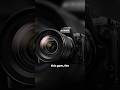 Nikon Z 8: Price vs Value Unpacked