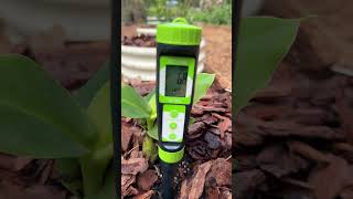 Soil pH matters. This is how I test my soil for new plantings and randomly a couple times per sea...