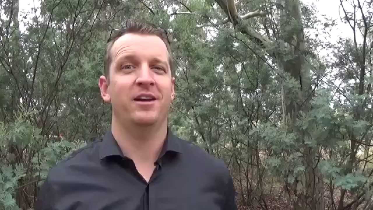 how-to-tell-if-your-child-has-dyslexia-by-michael-clark-dyslexia