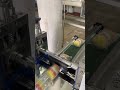 Automated Appalam/Papad Packing Machine