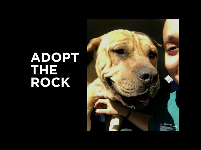 Adopt The Rock