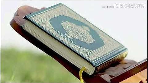 الجزء الخامس من سوره النساء |القارئ مصطفى كامل |