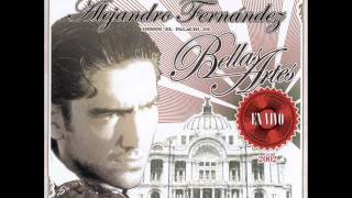 Miniatura de vídeo de "Alejandro Fernandez Jurame (Bellas Artes)"