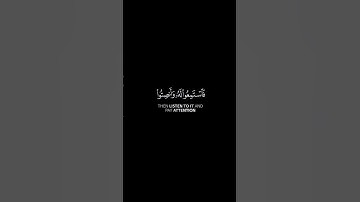 ما تيسر من سورة الأعراف | القرآن الكريم | القارئ ياسر الدوسري