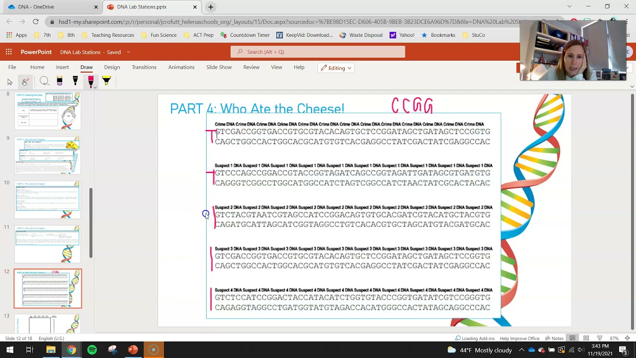 DNA Lab Stations Part 4 Who Ate the Cheese? YouTube